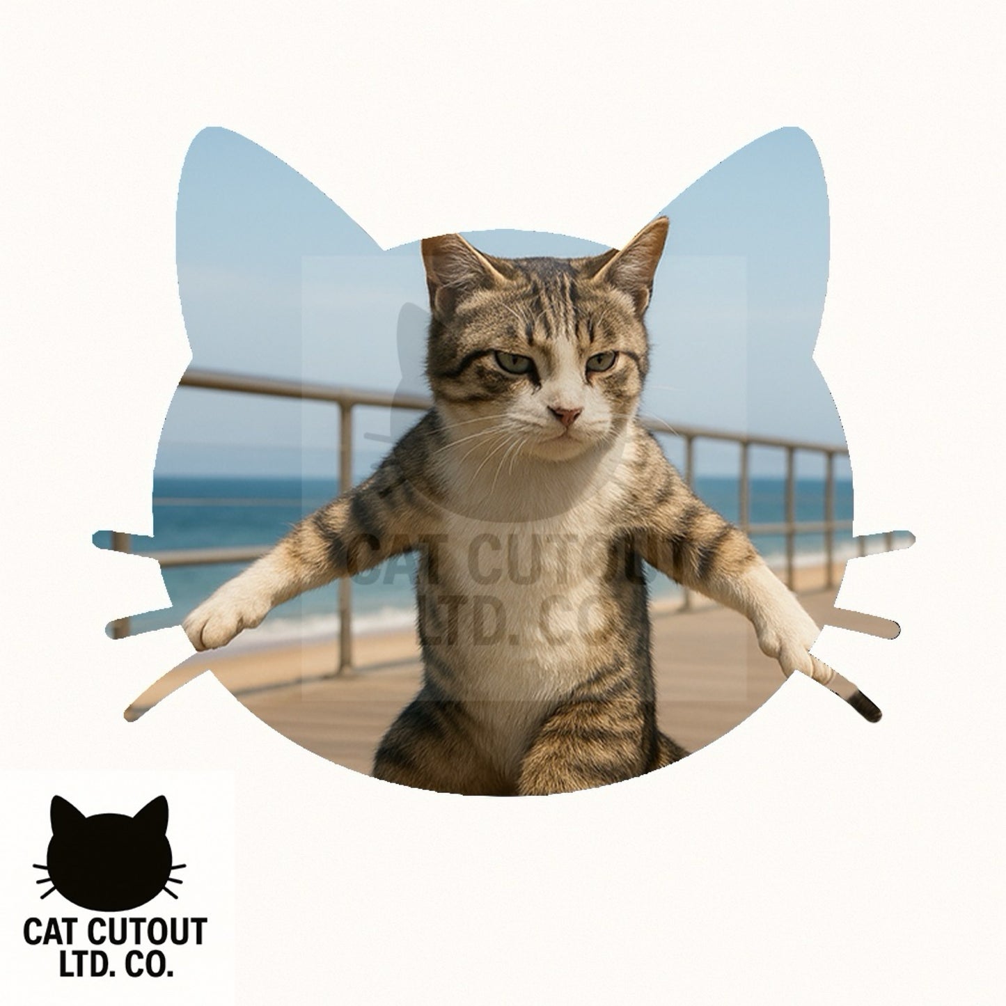Cat Cutout Tee - Pier